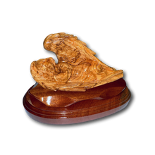 Baby Sleeping in Angel Wings