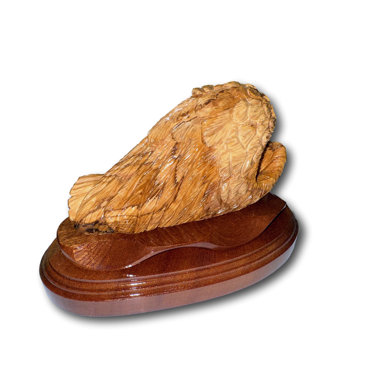 Baby Sleeping in Angel Wings