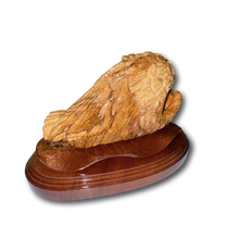 Baby Sleeping in Angel Wings