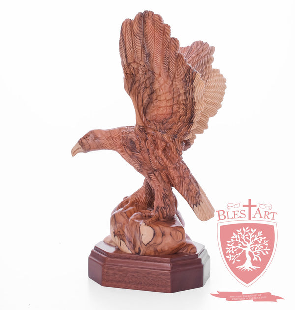 American Style Eagle - Olive wood