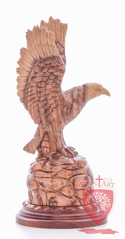 American Eagle, Cathedral Quality - Olive wood