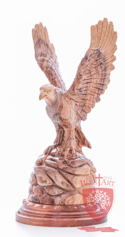 American Eagle, Cathedral Quality - Olive wood